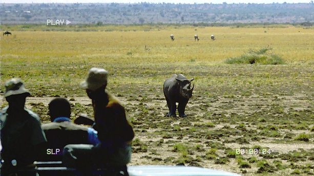 Rhino Rescue & Tranquilizing a Rhino (The Lord's Tusks)